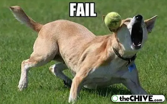 Fetch Fail
